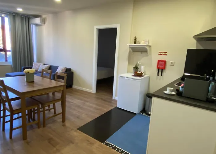 One-bedroom In The Center Of Nova De Gaia Apartment *