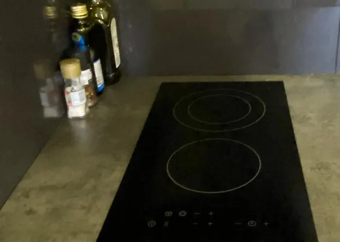 One-bedroom In The Center Of Nova De Gaia Apartment *