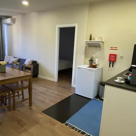 One-bedroom In The Center Of Nova De Gaia Appartement *